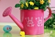Акрилни бои с матов лак Decormatt Acryl Marabu